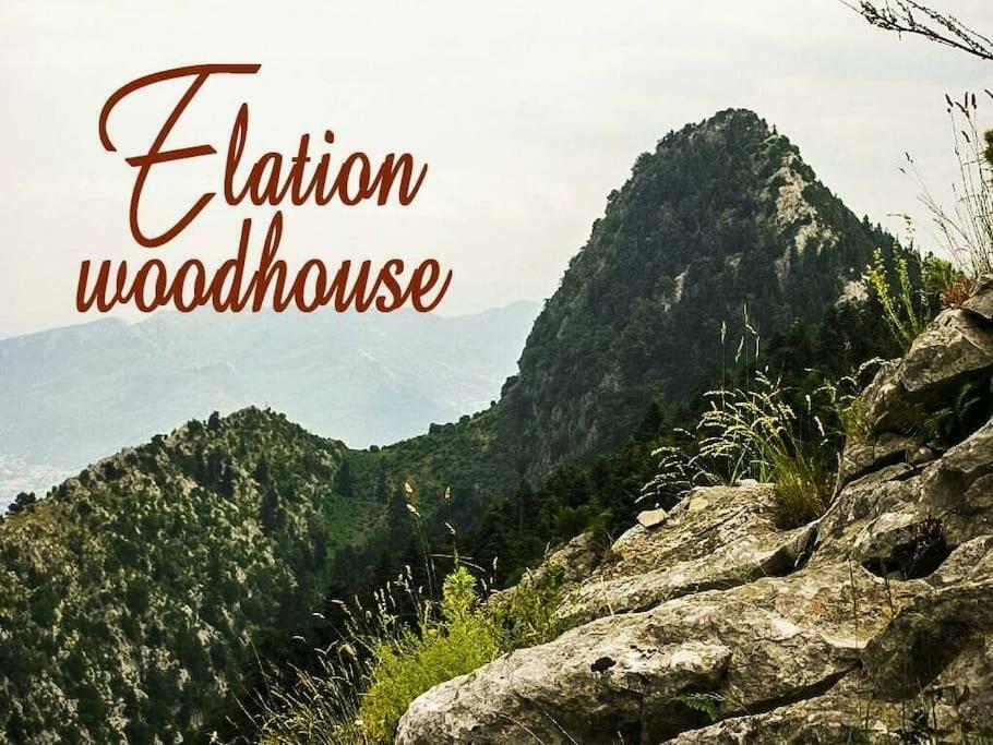 Elation Woodhouse Apartman Kültér fotó